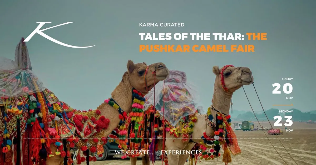 Tales of the Thar: The Pushkar Camel Fair
